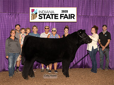 Josh Streitmatter Cattle Winners